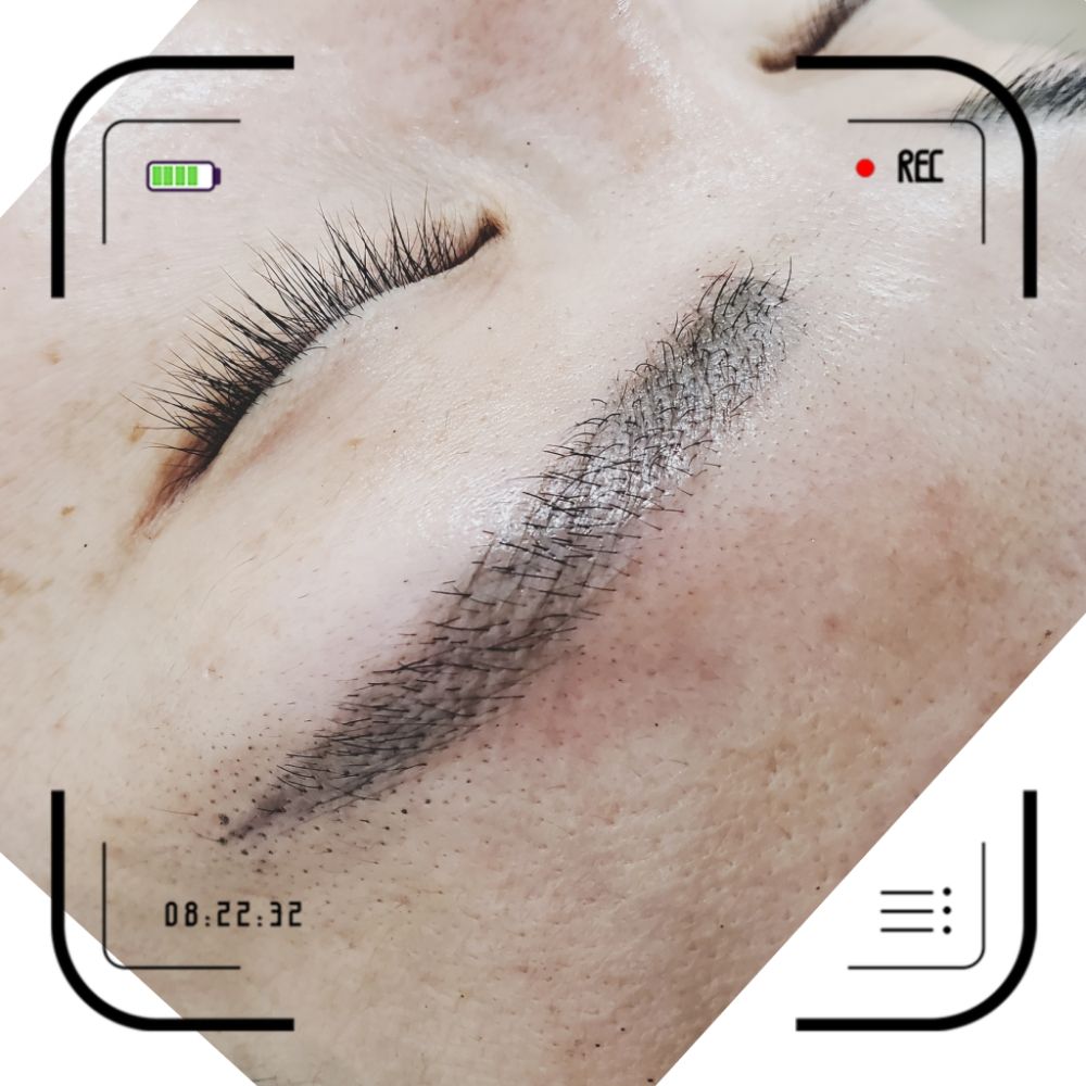 Nature's Touch SF Logo