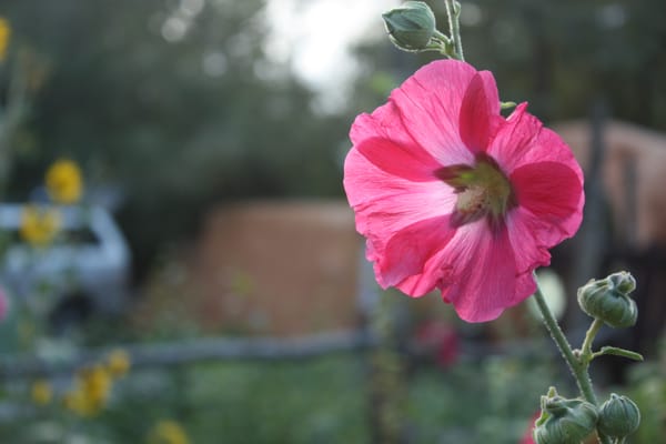 Photo of Old Taos Guesthouse Bed & Breakfast - Taos, NM, US.