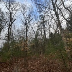 Billerica State Forest