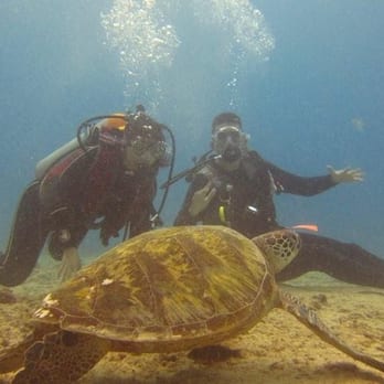 Oahu Diving - me and d with a huge turtle - Scuba Diving Near Me - Honolulu, Hawaii Oahu Diving - me and d with a huge turtle - Scuba Diving Near Me - Honolulu, Hawaii