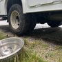 Photo of Gary's Tires