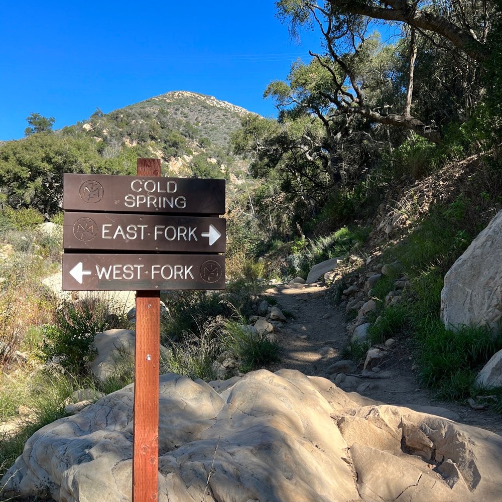 Cold Spring Trail - Cold Spring trail Y-intersection splitting fork - Hiking Near Me - Santa Barbara, California Cold Spring Trail - Cold Spring trail Y-intersection splitting fork - Hiking Near Me - Santa Barbara, California