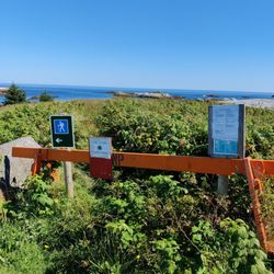 Kejimkujik National Park Seaside