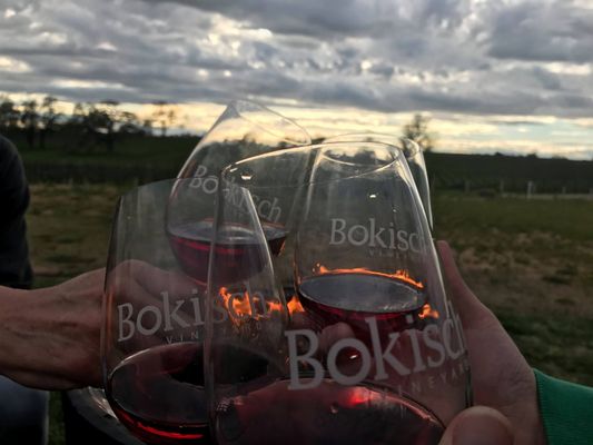 Bokisch Vineyards by null