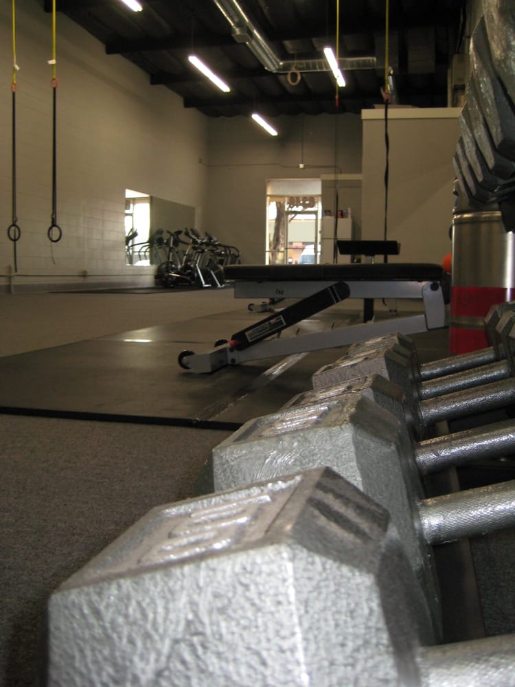 Proactive Fitness