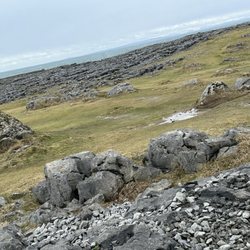 Burren National Park