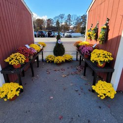 Pumpkintown USA