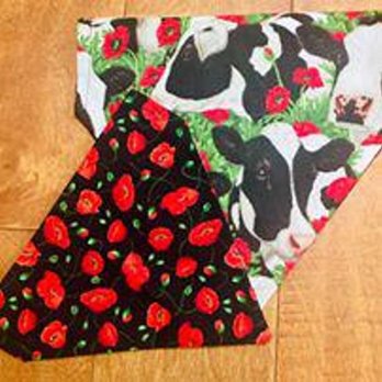 Pupology - Pet Stores Near Me - Georgetown, Texas