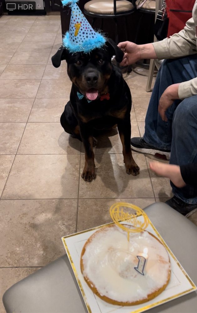 SPARKY’S PAWSITIVE DOG TRAINING Updated June 2024 Stockton