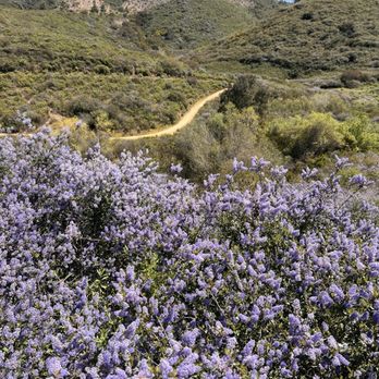 South Lake Park - South Lake Park - Parks Near Me - San Marcos, California South Lake Park - South Lake Park - Parks Near Me - San Marcos, California