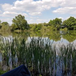 Erdbeercafé Am See - Der See