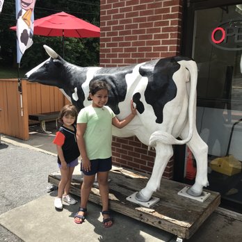 The Cow - a young girl standing next to a statue of a cow - Ice Cream & Frozen Yogurt Near Me - Westminster, Maryland