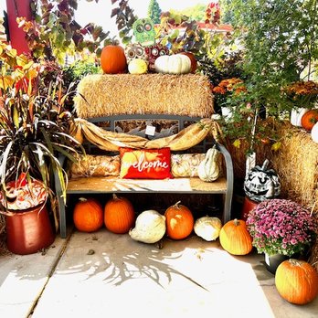 Cherry Valley Nursery & Landscape Supply - October vignette - Nurseries & Gardening Near Me - Cherry Valley, California Cherry Valley Nursery & Landscape Supply - October vignette - Nurseries & Gardening Near Me - Cherry Valley, California