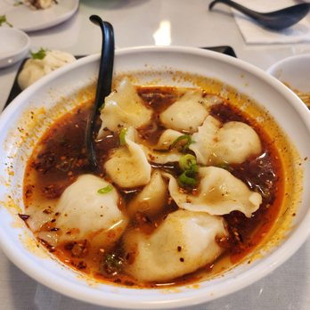 Dumpling World - Spicy and sour Pork dumplings - Chinese Near Me - Sugar Land, Texas Dumpling World - Spicy and sour Pork dumplings - Chinese Near Me - Sugar Land, Texas