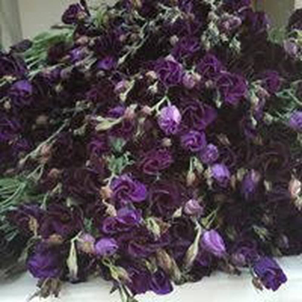 Portland Flower Market Open To The Public Best Flower Site