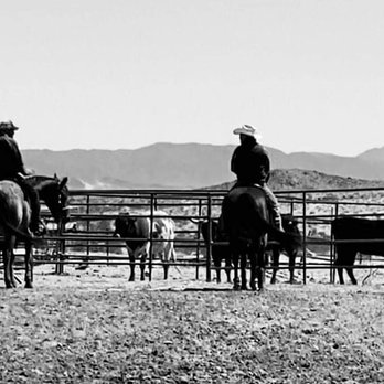 Lawsons Training & Education - Come join Lawson's Ranch for one of several horse opportunities: trail rides, team roping, cow sorting, obstacles. All are welcome! - Horseback Riding Near Me Lawsons Training & Education - Come join Lawson's Ranch for one of several horse opportunities: trail rides, team roping, cow sorting, obstacles. All are welcome! - Horseback Riding Near Me