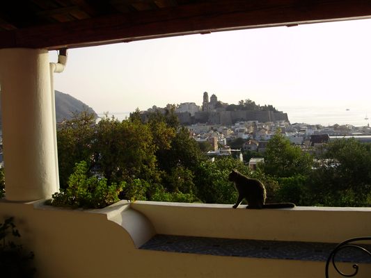 Hotel Villa Diana Soc. Clelia Hunziker s.a.s. by null