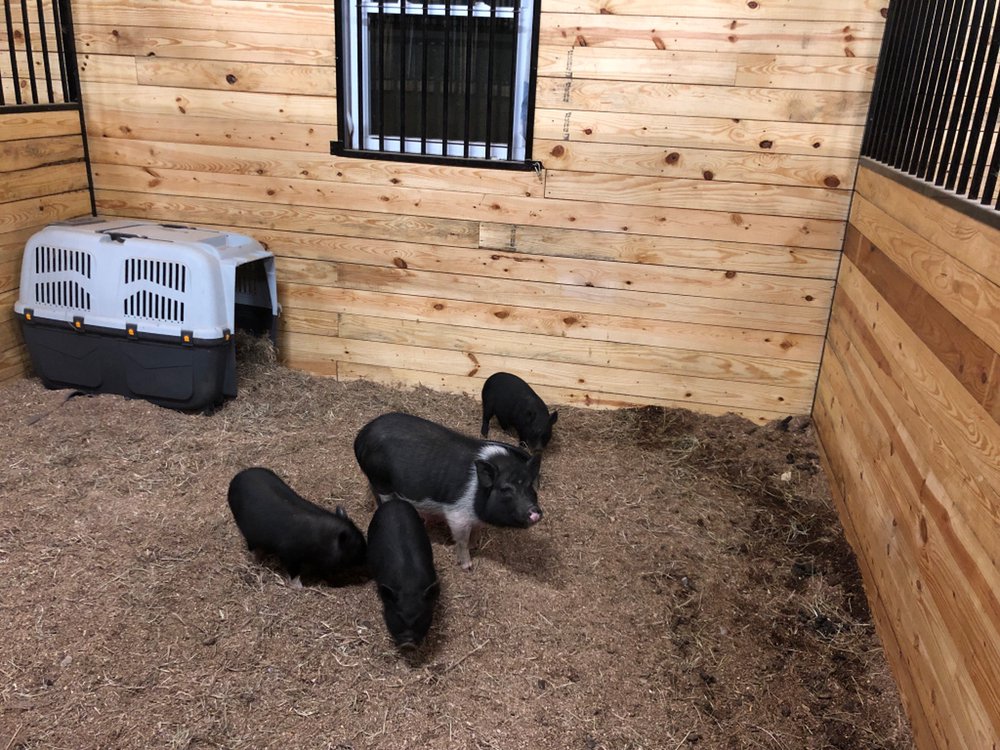 The Farm On Magnolia - equestrian in Pemberton, NJ