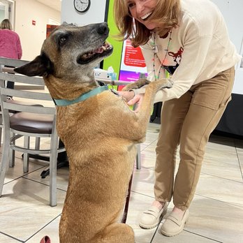 Petco - Pet Training Near Me - Sarasota, Florida Petco - Pet Training Near Me - Sarasota, Florida
