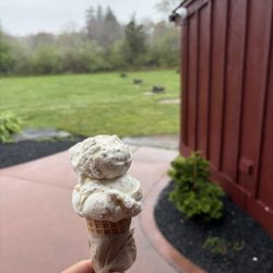 The Ice Cream Barn - Grape nut cone