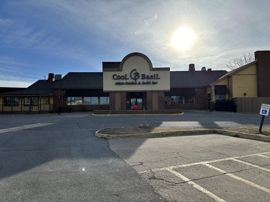 Cool Basil Clive by null