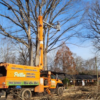 Parton Lawncare Landscaping and Tree Services - a man standing on a tree - Lawn Services Near Me Parton Lawncare Landscaping and Tree Services - a man standing on a tree - Lawn Services Near Me