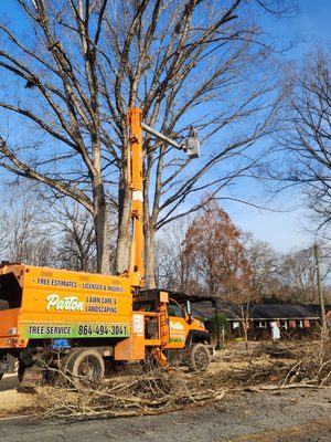 Tree Services - Our commitment to satisfaction is our #1 priority. We specialize in tree removal, stump removal, and all tree services. Hire us Today! Tree Services - Our commitment to satisfaction is our #1 priority. We specialize in tree removal, stump removal, and all tree services. Hire us Today!