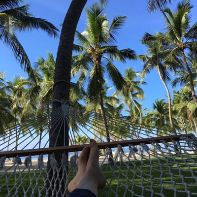 The Moorings Village by null