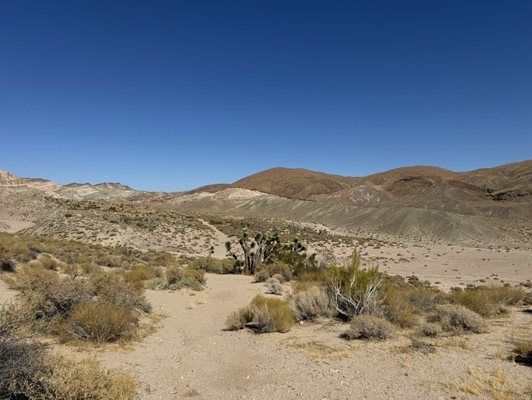 Red Rock Canyon State Park by null