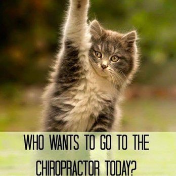 Seth Klein, DC - Seth Klein, DC - Chiropractors Near Me - Coral Springs, Florida Seth Klein, DC - Seth Klein, DC - Chiropractors Near Me - Coral Springs, Florida