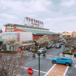 Victoria Gardens Gift Greeting Cards Email, Text or Print