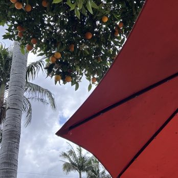 The Classic Cafe - Outdoor seatings - Coffee & Tea Near Me - Fullerton, California