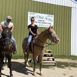 Appy Orse Acres