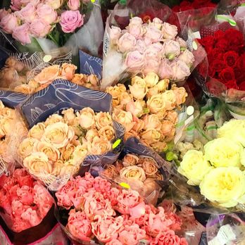 POTOMAC FLORAL WHOLESALE - Updated February 2026 - 186 Photos & 103