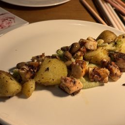 octopus