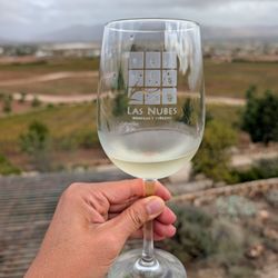 Las Nubes Bodegas y Viñedos - View
