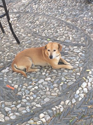 Mirador de San Nicolás by null