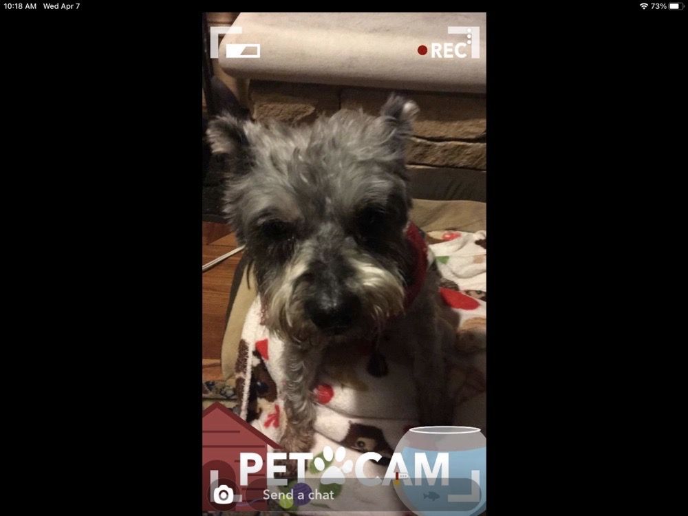 BELTLINE ANIMAL CLINIC Updated June 2024 2218 Beltline Rd SW