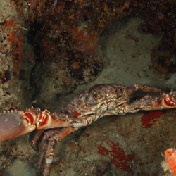 Space Coast Dive Center