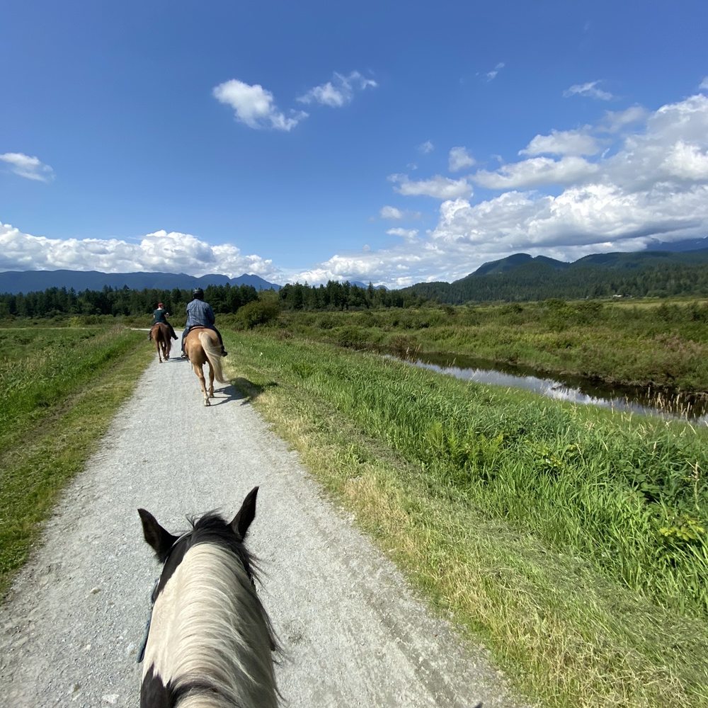 Leghorn Ranch - Horseback Riding Near Me - Pitt Meadows, British Columbia Leghorn Ranch - Horseback Riding Near Me - Pitt Meadows, British Columbia