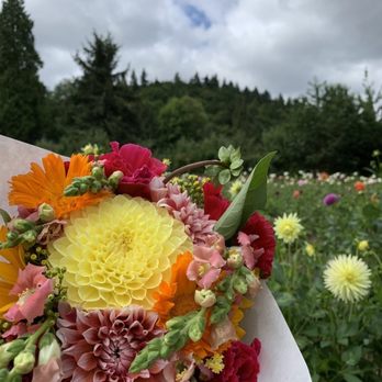 Peto Garden - Stunning unique bouquets handmade and cut right here in Bothell, WA. - Florists Near Me - Bothell, Washington Peto Garden - Stunning unique bouquets handmade and cut right here in Bothell, WA. - Florists Near Me - Bothell, Washington