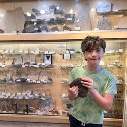 Burton's Gems And Opals