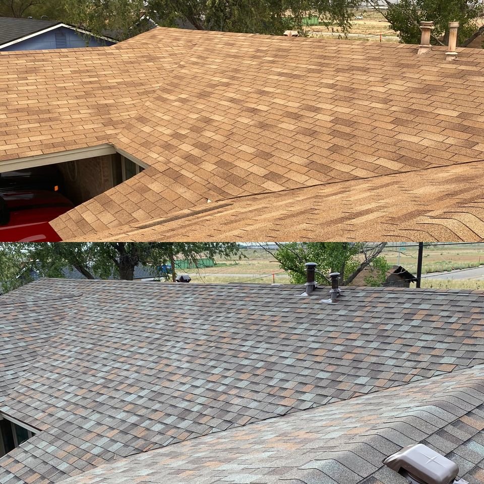 Slide of 3M Restorations