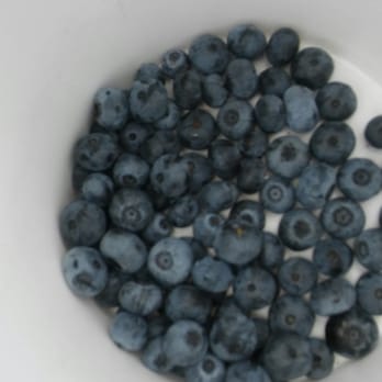 Lake Catherine Blueberries - Filling our bucket! - Fruits & Veggies Near Me - Groveland, Florida