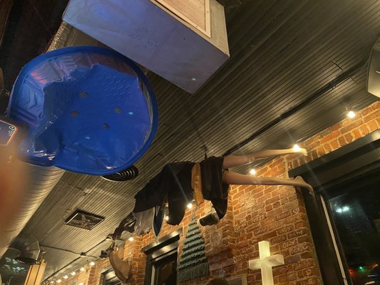 Sister Louisa's Church of the Living Room & Ping Pong Emporium by null