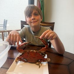 Nichol's & Son's Seafood