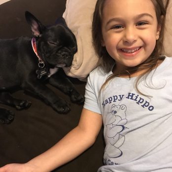Glamorous Puppies - Pet Breeders Near Me - Miami, Florida