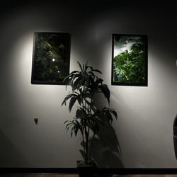 Nevada Made Marijuana