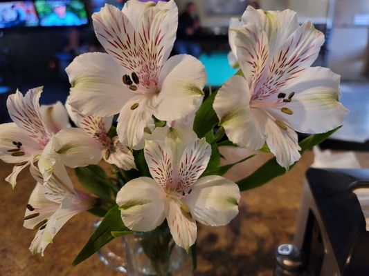 Bud Jackson’s Eatery & Taps by null