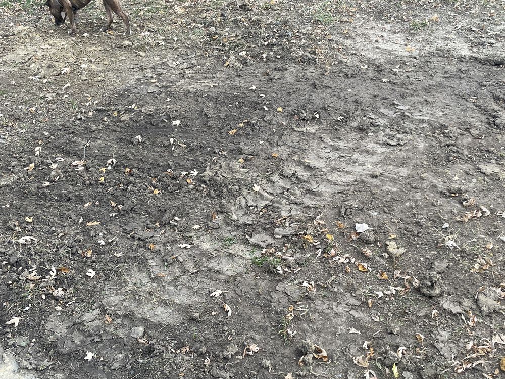 Slide of Blue Dot Heating, Air, Plumbing & Electrical